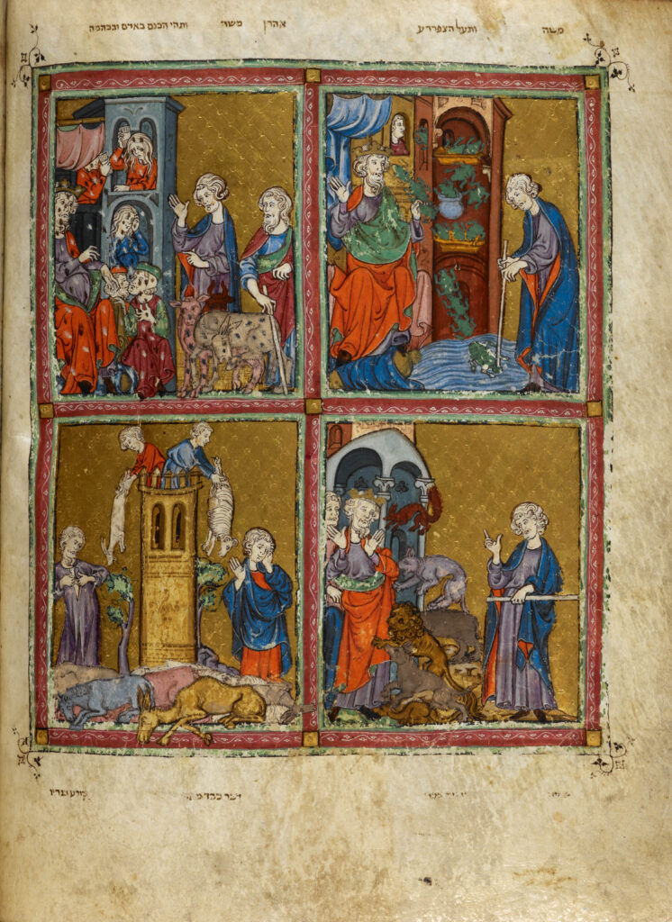 Hagadá Dorada, hacia 1320. The British Library, Londres