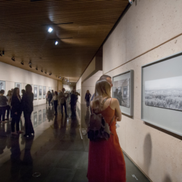 Museo Universidad de Navarra