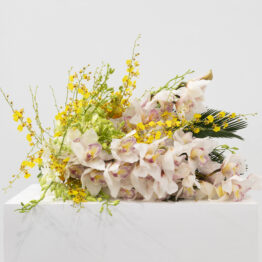 Diecisiete obras, catorce artistas, 400.000 euros: el Museo Reina Sofía anuncia sus compras en ARCO