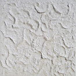 Nacho Zubelzu: el blanco de la sal, la nieve y el azúcar