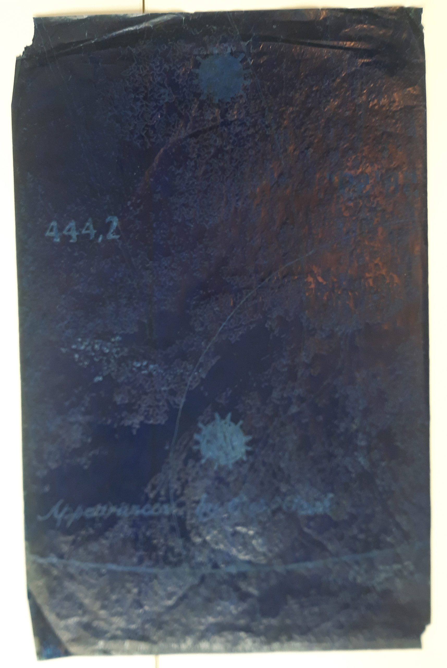 Laura F. Gibellini. Luna de brillo. Galería Nieves Fernández