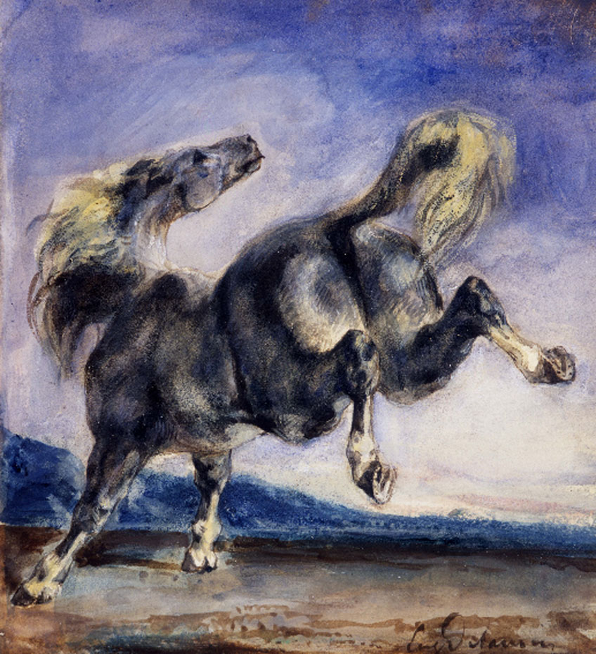 Eugène Delacroix. Cheval ruant. Collection Prat