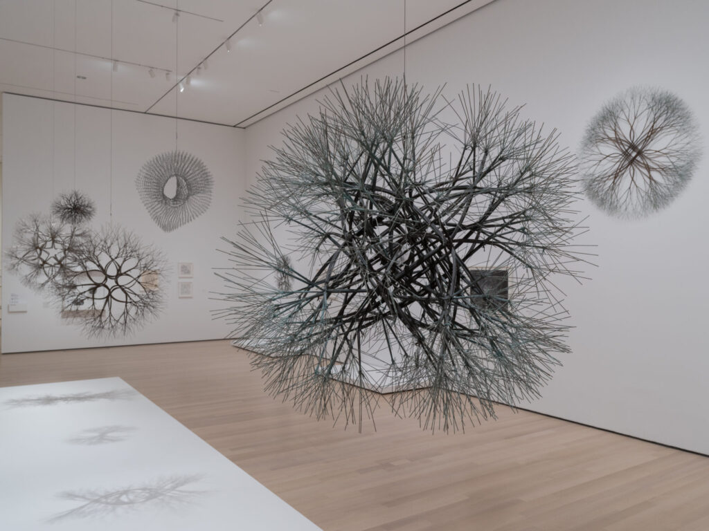 Ruth Asawa: A Retrospective. MoMA, 2025. © 2025 The Museum of Modern Art, New York. Fotografía: Jonathan Dorado