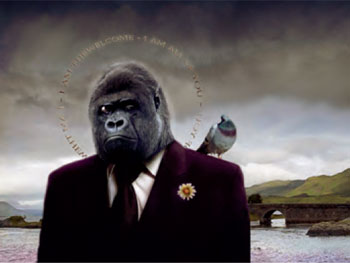 José Luis Serzo. Thewelcome, el gorila irlandés, 2007