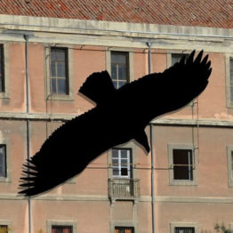 Juan Zamora. The Vulture Shadow