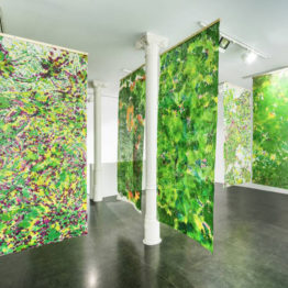 Raúl Díaz Reyes. "Jardins". Galería Ponce + Robles