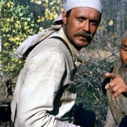 50 años después: 1975. Ciclo de cine de verano en TEA. Tenerife Espacio de las Artes
