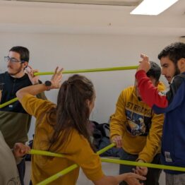 Bioarquitecturas, el Museo ICO a través de la danza