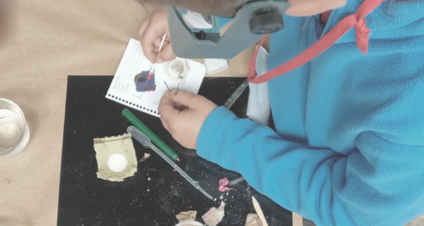 Guardianes del patrimonio. Fundación Amigos del Museo Nacional Centro de Arte Reina Sofía