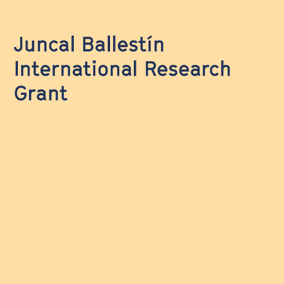 Beca internacional de investigación Juncal Ballestín 2026