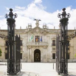 15 Ayudantes de archivos, bibliotecas y museos (bibliotecas) en la Universidad de Sevilla