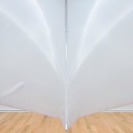 Becas de formación Gondra Barandiarán - Museo de Bellas Artes de Bilbao 2024-2025