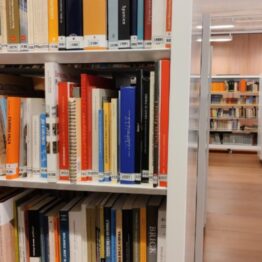 Técnico bibliotecario en el Colegio Oficial de Arquitectos de Madrid. COAM