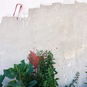 Lugares fértiles. Intervenciones artísticas y ecológicas en el tercer paisaje. Taller en el Museo Carmen Thyssen de Málaga. Inscripción hasta el 10 de julio de 2018