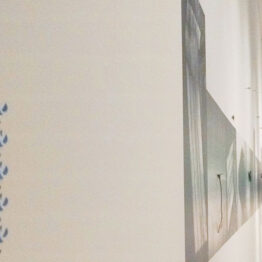 ¿Cómo suena la altura de las olas? Taller en la exposición “Enredos II: Nuno da Luz”, en el Centro Botín
