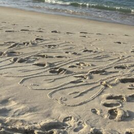 Fortaleza 2026. Residencia de investigación artística