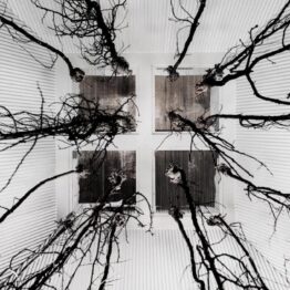 Memorias de una imagen latente III: Conexiones en la fotografía contemporánea. CGAC