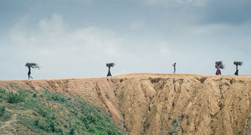 Ai Weiwei. Ciclo de cine. MUSAC León