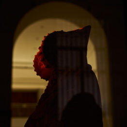 Diálogos en piedra. Concurso de fotografía convocado por el Museo Arqueológico Nacional