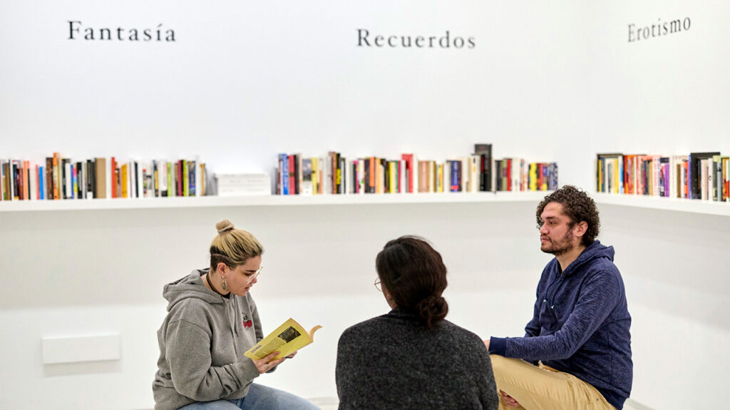 Documentos 22. La novela de artista. Museo Reina Sofía