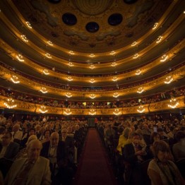 Concurso para la selección del director/a general del Teatre del Liceu