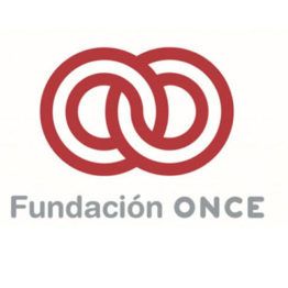 Técnico de Promoción Cultural y Animación Sociocultural en la Dirección General de la ONCE