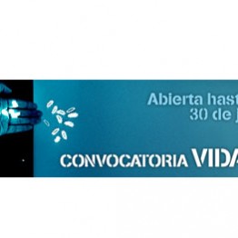 FUNDACIÓN TELEFÓNICA VIDA 14