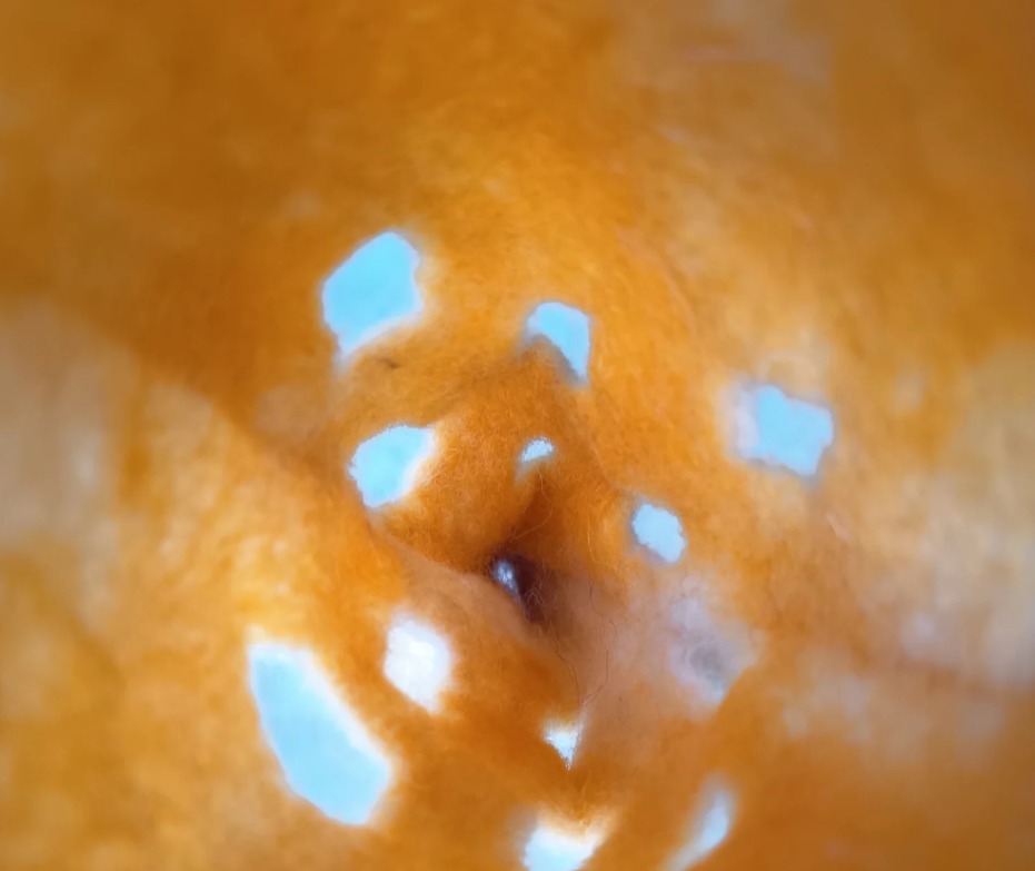 Gaudí: texturas orgánicas. Taller en el Museu Nacional d´Art de Catalunya. MNAC