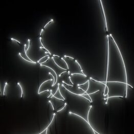 El viaje de las mariposas. Museo Helga de Alvear