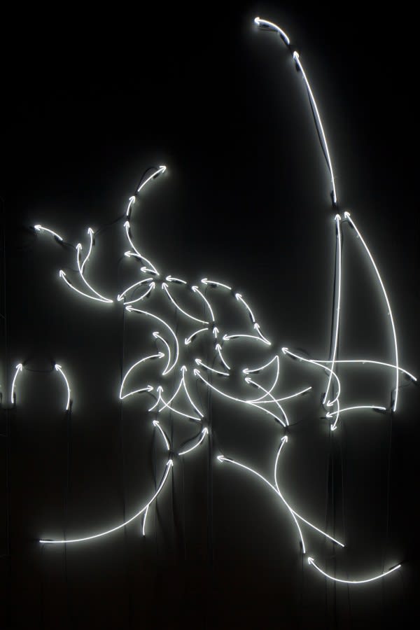 El viaje de las mariposas. Museo Helga de Alvear