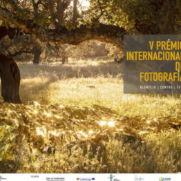 V Premio Internacional de Fotografía Santiago Castelo