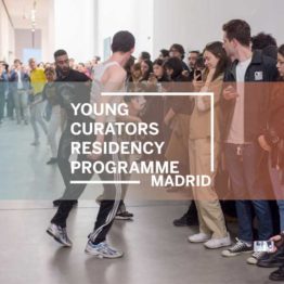 Coordinador del Young Curators Residency Programme Madrid. Fondazione Sandretto Re Rebaudengo