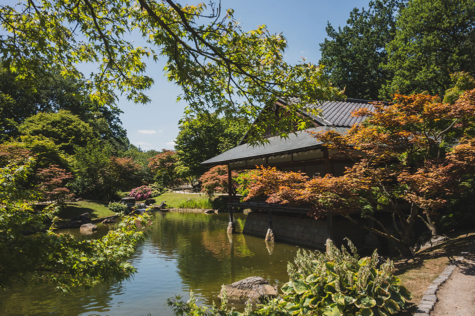 Jardín japonés. Hasselt, Limburgo