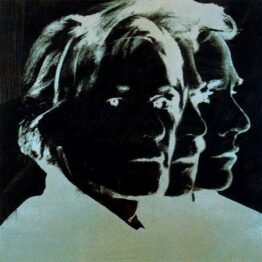 Warhol en sus sombras, ese fantasma