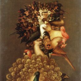 Arcimboldo: un teatro en el rostro