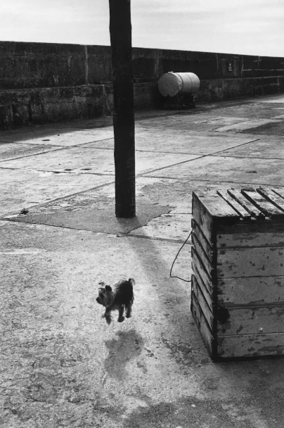 Elliott Erwitt. Ballycotton, Ireland, 1986