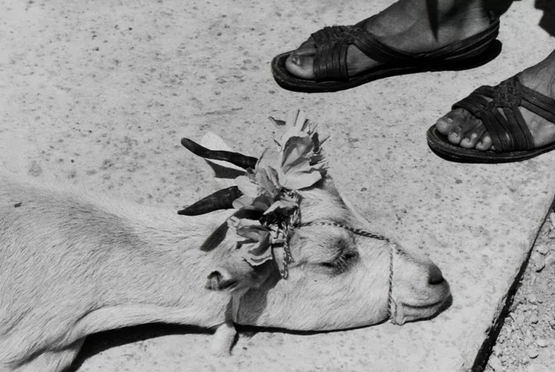 Gabriela Iturbide. En el nombre del padre, La Mixteca, México, 1992