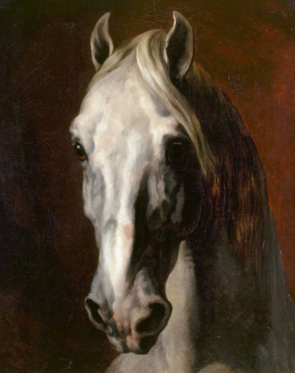 Géricault. Tête de cheval blanc, 1815. Musée du Louvre
