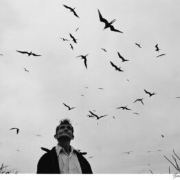 Graciela Iturbide, fotografiar para conocer