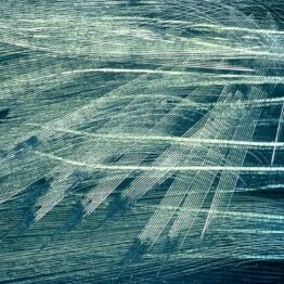 Hans Hartung, pincel y cuchillo de podar