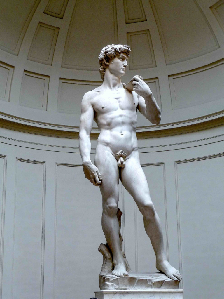 Miguel Ángel. David, 1501-1504. Galería de la Academia, Florencia