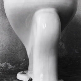 Edward Weston. Desnudo, 1936. The George Eastman House Collection
