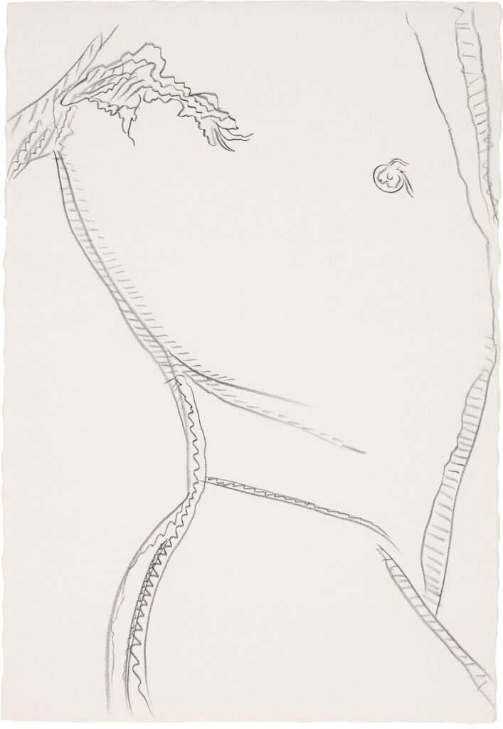 Andy Warhol. Torso, 1977. Galerie des Modernes